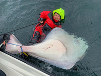 Seilandin ennätyspallas 207cm, C&R